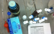 euromax_6