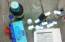euromax_6