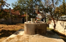 euromax_7